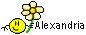 Alexandria Smiley – Namen mit Blume